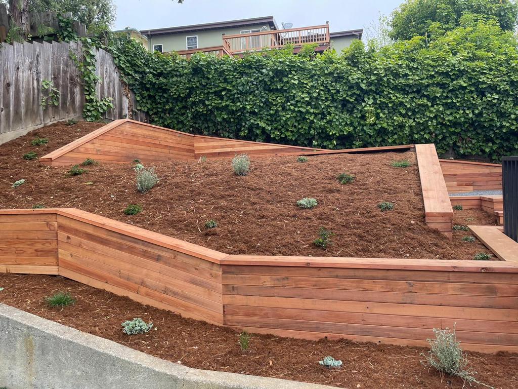 Planter area, Redwood